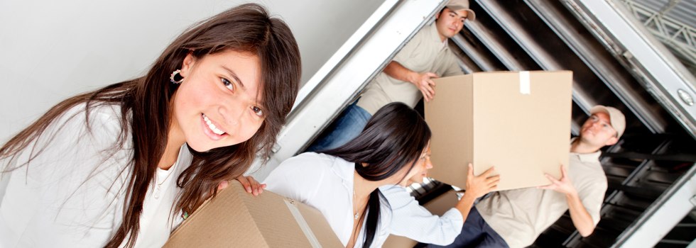 Professional Removalists Forbesdale